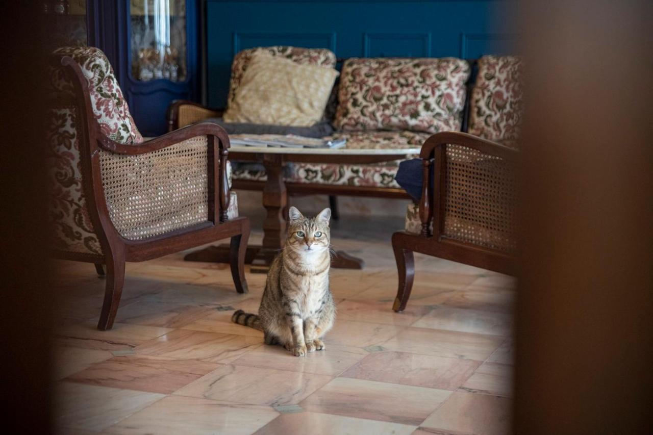 La Bellevue Breville - B&B المظهر الخارجي الصورة